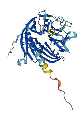 KPTN 3D structure
