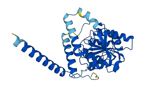 ALG5 3D structure