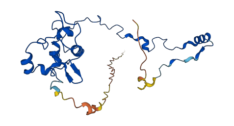 MRPS18B 3D structure