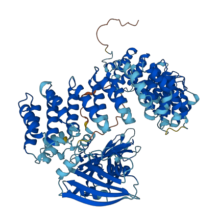 COPG1 3D structure