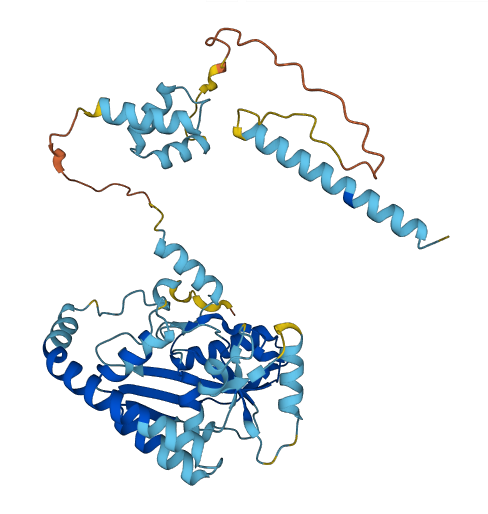 AUP1 3D structure