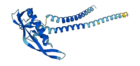 KCNMB2 3D structure
