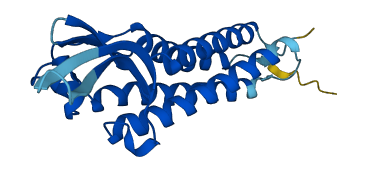 LHFPL6 3D structure
