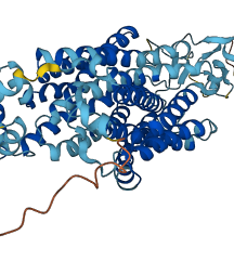 SLC22A7 3D structure