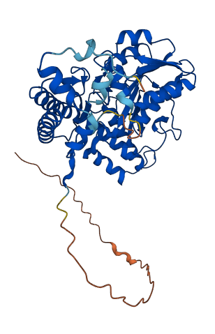 NFS1 3D structure