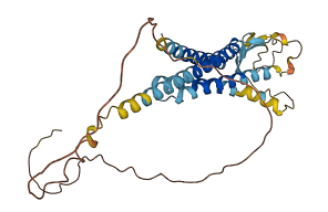 CACNG2 3D structure