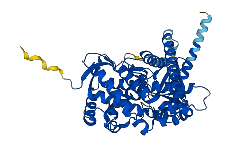 CYP46A1 3D structure