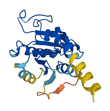 SAR1B 3D structure
