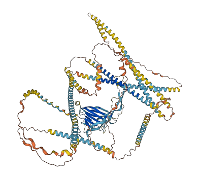 EMILIN1 3D structure