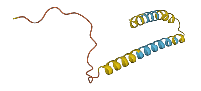 LINC00312 3D structure