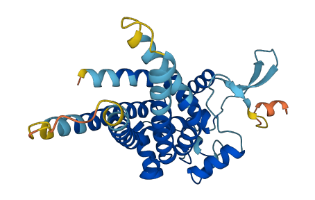 MTCH2 3D structure
