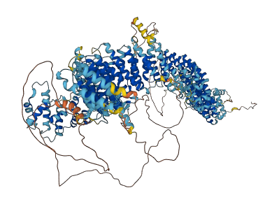 ARFGEF2 3D structure