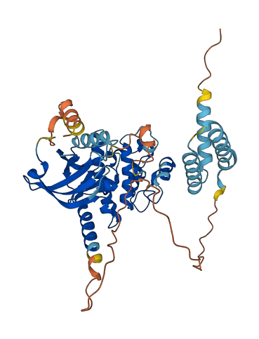 STK24 3D structure