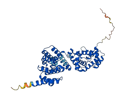 BZW2 3D structure