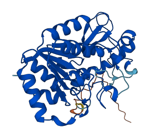 SIRT4 3D structure