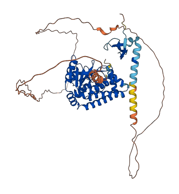 CDY2A 3D structure