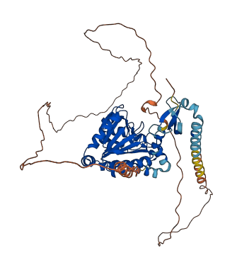 CDY1 3D structure