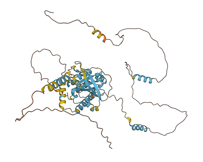 DYNC1LI1 3D structure