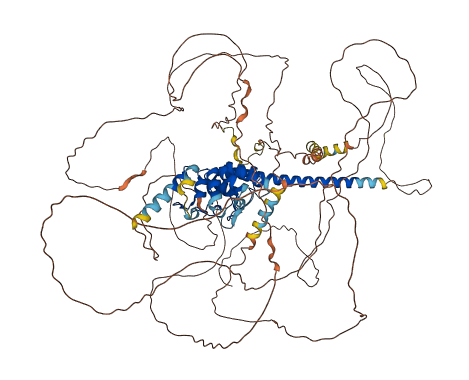SNCAIP 3D structure