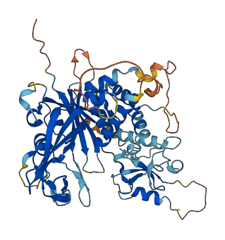 USP3 3D structure