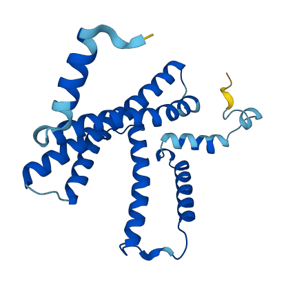 PXMP4 3D structure