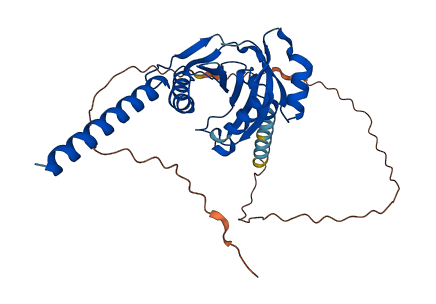 TEX264 3D structure