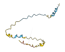 SMAD5-AS1 3D structure