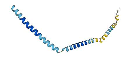 KCNE2 3D structure