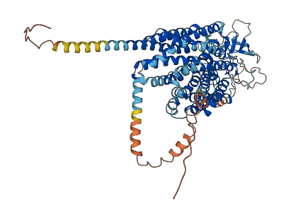 SLCO1B1 3D structure