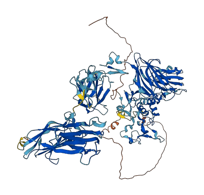 TLL2 3D structure