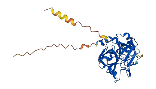 PRSS21 3D structure