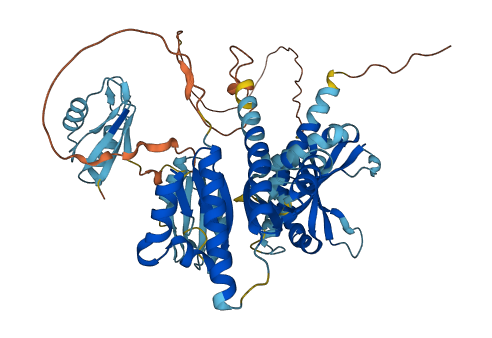 IGF2BP2 3D structure