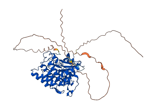 CSNK1G3 3D structure