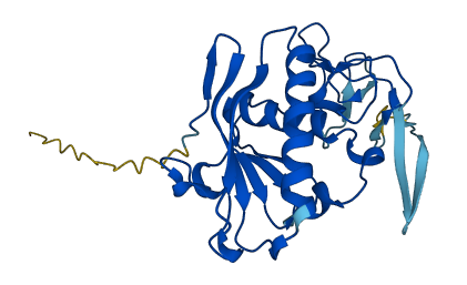 CLCA3P 3D structure
