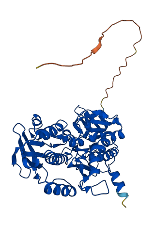 SQOR 3D structure