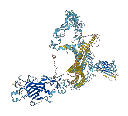LAMC3 3D structure