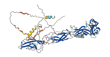CDH10 3D structure