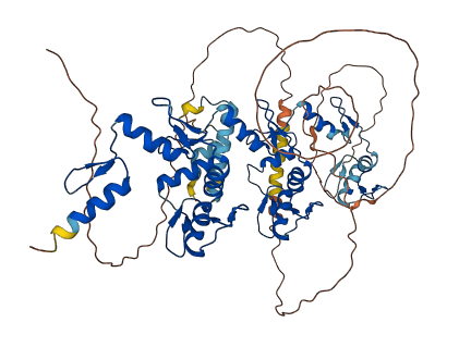 ZFP37 3D structure