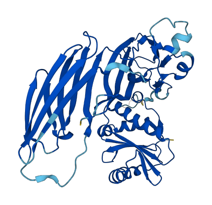 AP1M2 3D structure
