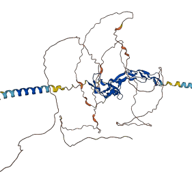 TNFRSF11A 3D structure