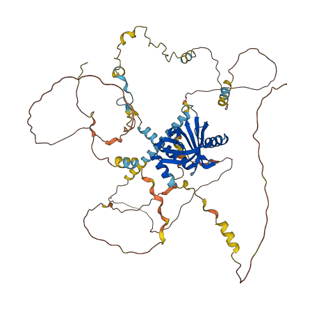 NUMBL 3D structure