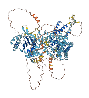 SLC4A4 3D structure