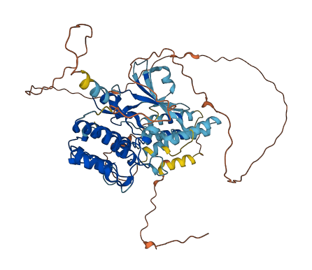 RPS6KL1 3D structure