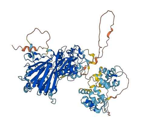DGKB 3D structure