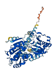 DDX49 3D structure