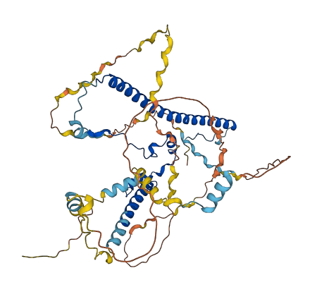 WASF2 3D structure