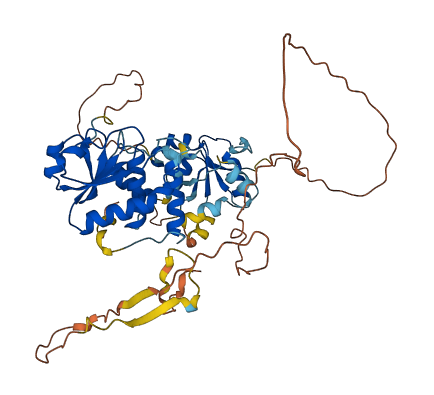 DUSP10 3D structure