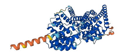 MAU2 3D structure
