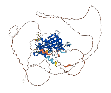 FAM169A 3D structure
