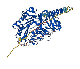 ENPP4 3D structure